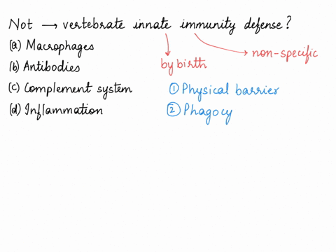 which-of-the-following-is-mot-part-of-the-vertebrate-innate-immunity-defense-a-macrophages-b-antibod-90778