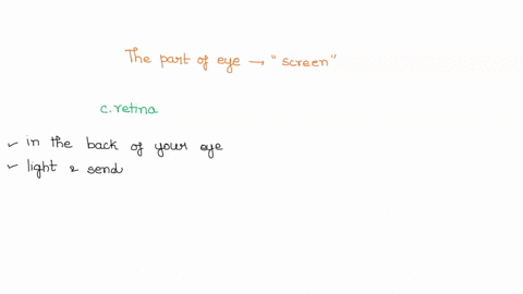 the-part-of-the-eye-that-serves-as-a-scrcen-is-the-a-pupil-b-iris-c-retina-d-cornea-86011