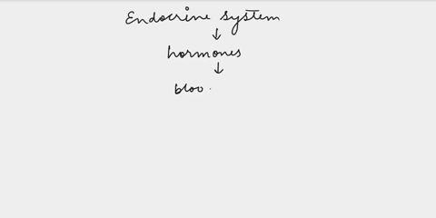 which-is-an-endocrine-function-a-the-pancreas-releases-insulin-into-the-bloodstream-b-salivary-glands-release-saliva-into-the-mouth-c-pyloric-glands-release-mucus-to-the-stomach-d-sweat-glan-01622