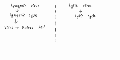 a-virus-cannot-reproduce-on-its-own-viral-dna-or-rna-must-enter-the-host-cell-and-direct-the-cell-to-make-the-materials-needed-to-produce-more-viral-particles-there-are-two-pathways-a-virus-78414