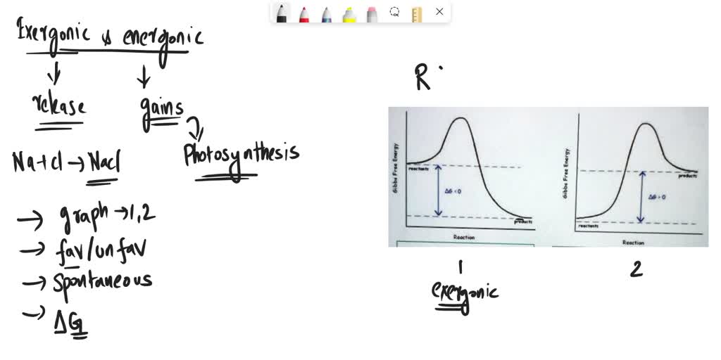 SOLVED: State which of the following diagrams represent exergonic and ...