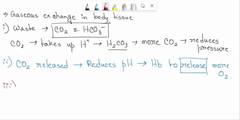 waste-products-that-affect-the-partia-pressure-in-the-tissue-what-are-gradient-do-they-both-cause-he-release-or-acceptance-of-oxygen-o-temperature-rises-in-the-muscle-how-does-change-the-sha-64015