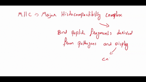 there-is-a-complex-interaction-between-the-t-cell-and-target-andor-apc-during-antigen-presentation-what-is-the-role-of-each-of-the-following-in-this-process-tcr-mhcantigen-cd48-cd3-are-other-19897