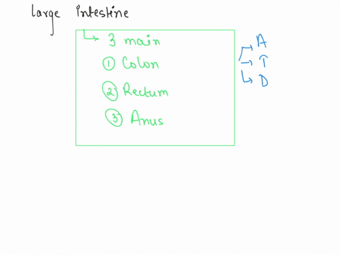 this-figure-shows-the-three-main-components-of-the-large-intestine-how-do-these-three-parts-contribu-23462