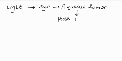 1-light-passes-through-the-following-structures-in-which-order-a-vitreous-humor-lens-aqueous-humor-cornea-b-cornea-aqueous-humor-lens-vitreous-humor-c-cornea-vitreous-humor-lens-aqueous-humo-97343