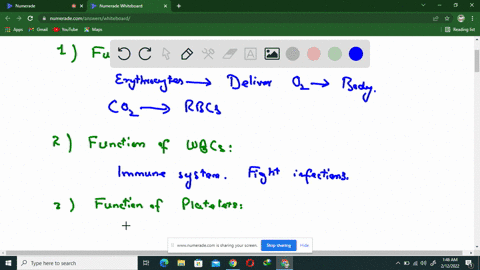 regarding-the-blood-answer-the-questions-below-a-what-is-the-function-of-red-blood-cells-b-what-is-the-function-of-white-blood-cells-c-what-is-the-function-of-platelets-d-what-is-transported-31287