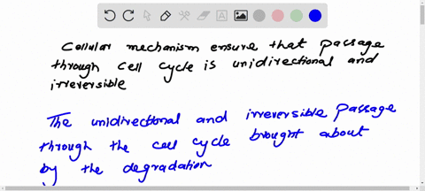 what-cellular-mechanisms-ensure-that-passage-through-the-cell-cycle-is-unidirectional-and-irreversib-64187