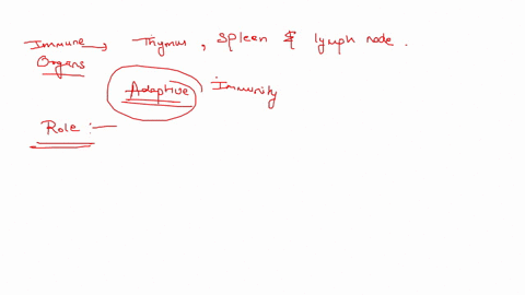 1-select-the-statements-that-correctly-describe-the-role-of-the-thymus-spleen-and-lymph-nodes-in-adaptive-immunity-select-the-two-answers-that-are-correct-the-thymus-is-the-site-of-t-cell-de-74598