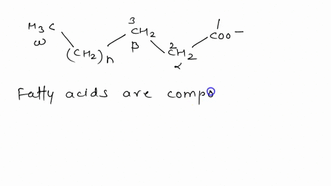 what-are-the-structures-and-chemistry-of-fatty-acids-23752