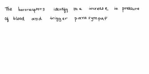 ail-of-the-following-statements-point-regarding-central-control-of-autonomic-functions-are-correct-except-baroreceptors-are-pressure-sensors-o-located-at-various-cardiovascular-sites-the-par-93026