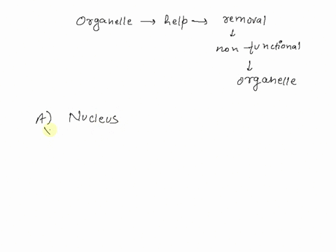which-organelles-are-capable-of-removing-non-functioning-organelles-from-the-cell-a-nucleus-b-mitochondria-c-lysosomes-09206