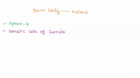 44-a-barr-body-is-normally-found-in-the-nucleus-of-which-kind-of-human-cell-somatic-cells-of-4-male-unfertilized-egg-cells-germ-line-cells-somatic-cells-of-a-female-sperm-cells-69893