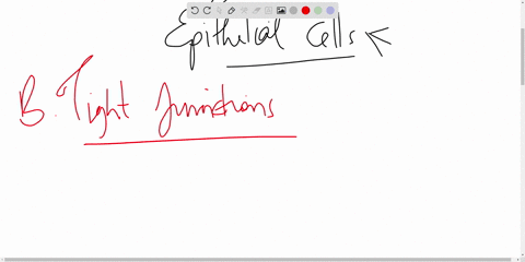 question-14-25p14-which-of-the-following-are-important-for-maintaining-the-polarity-of-epithelial-cells-in-this-question-the-word-polarity-refers-to-one-part-of-the-cell-being-different-from-20923