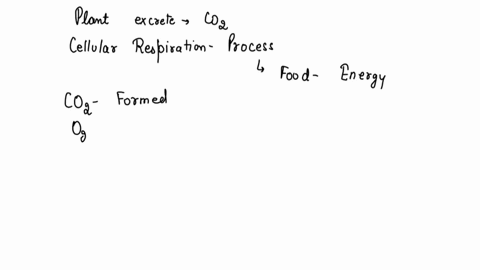 why-do-plants-excrete-more-carbon-dioxide-at-night-than-during-the-day-a-cellular-respiration-occurs-only-at-night-and-not-during-the-day-b-cellular-respiration-occurs-at-a-faster-rate-at-ni-74981