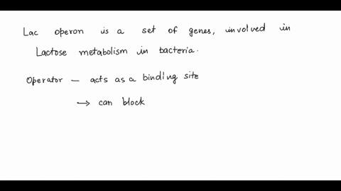 a-mutation-in-the-operator-is-likely-to-prevent-transcription-of-the-lac-operon-under-any-condition-true-false-13205