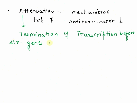 what-is-attenuation-what-are-the-mechanisms-by-which-the-attenuator-forms-when-tryptophan-levels-a-2-96553