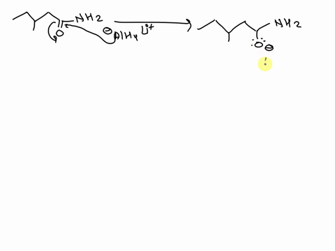 what-is-the-major-neutral-organic-product-for-the-following-reaction-nh2-1-lialh4-2-h3o-major-neutral-organic-product-what-is-the-major-neutral-organic-product-for-the-following-reaction-nh2-70723