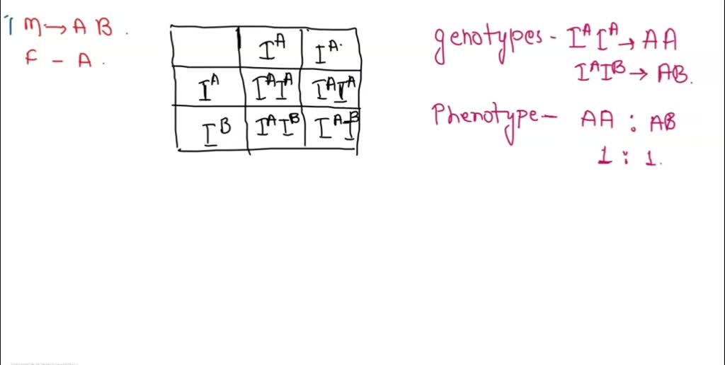 SOLVED: Problem Solving: Identifying the Possible Blood Types of ...