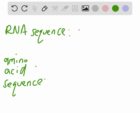 translate-this-rna-sequence-into-an-amino-acid-sequence-5-aug-ggc-uac-cga-3-79108