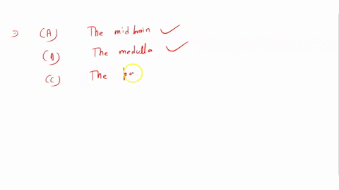 question-26-the-brainstem-contains-the-following-structures-except-the-midbrain-the-medulla-the-pons-the-cercbral-eortex