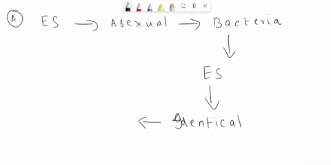 question-48-1-point-which-of-the-following-statements-is-true-a-an-endospore-is-genetically-different-from-the-cell-which-produced-it-one-cell-can-produce-many-endospores-endospores-allow-a-32954