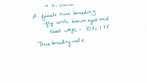 normal-eye-color-in-flies-is-red-mutant-flies-have-brown-eye-color-similarly-normal-wing-length-is-long-mutant-flies-have-short-wings-a-female-true-breeding-fly-with-brown-eyes-and-short-win-24608