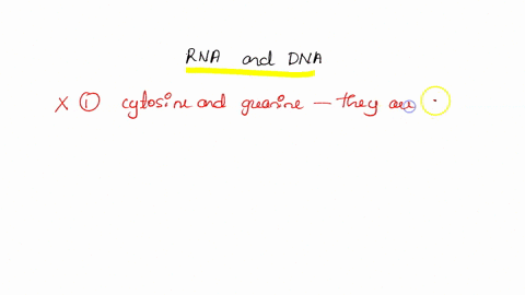 question-7-which-statement-about-rna-and-dna-is-incorrect-a-in-both-rna-and-dna-guanine-and-cytosine-always-pair-by-forming-one-hydrogen-bond-b-the-carbohydrates-in-nucleic-acids-are-ribose-88866