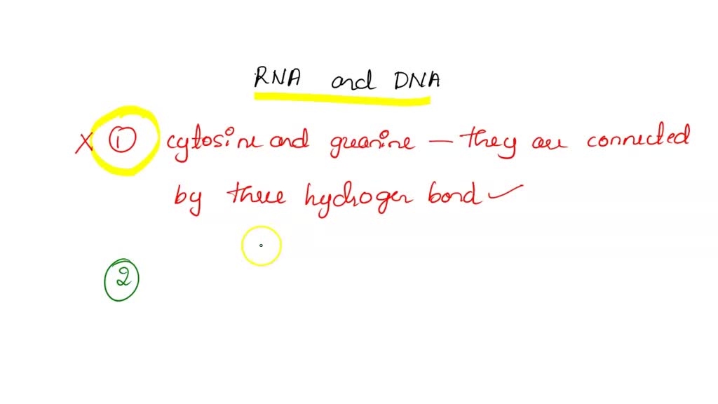 SOLVED Question 7 Which statement about RNA and DNA is incorrect? a