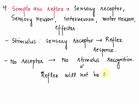 questlon-4-2-points-what-would-happen-all-of-the-minimal-requlred-components-of-simple-arc-reflex-would-be-present-except-for-the-receptor-the-synapses-would-be-doubled-there-would-be-ag-tlm-39202