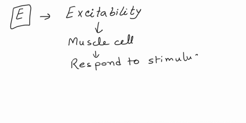 which-functional-characteristic-of-muscle-is-required-before-the-sarcoplasmic-reticulum-can-release-calcium-a-concentric-actions-b-elasticity-c-extensibility-d-contractility-e-excitability-84652