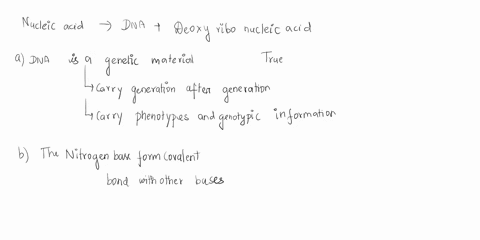 mark-the-following-statements-about-dna-as-true-or-false-dna-is-the-genetic-a-true-material-for-all-cellular-life-b-false-the-nitrogenous-bases-form-covalent-bonds-with-each-other-to-hold-th-18955
