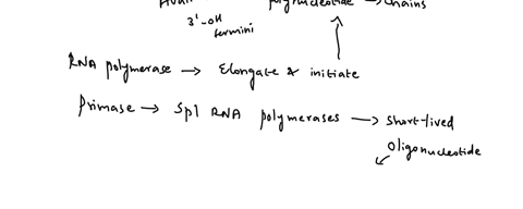 why-rna-primer-is-synthesized-in-dna-replication-instead-of-dna-primer-39743