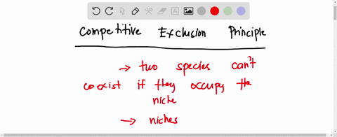 competitive-exclusion-occurs-under-the-following-conditions-1when-fundamental-niches-overlap-and-competition-is-asymmetric-2when-realized-niches-overlap-and-competition-is-asymmetric-3when-f-96442