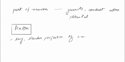 what-part-of-the-neuron-is-a-process-that-can-generate-and-conduct-action-potentials-26819