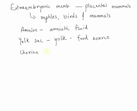 what-is-the-fate-of-the-four-extraembryonic-membranes-in-embryos-of-placental-mammals-32835