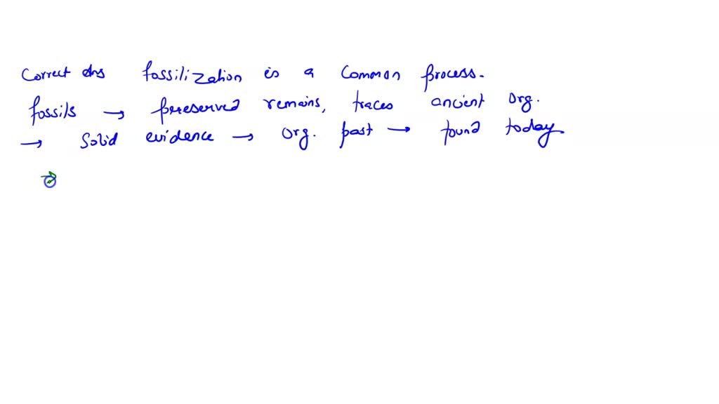 SOLVED Question 24 1 pts Which of the following statements best