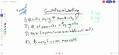 match-the-definition-with-the-name-of-the-growth-phase-in-the-growth-curve-___number-of-dying-cells-is-higher-than-the-number-of-cells-dividing-___number-of-new-cells-equal-to-number-of-dying-cells--2