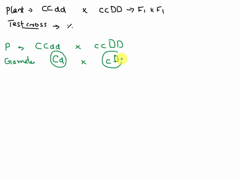 a-plant-of-genotype-cc-dd-is-crossed-to-cc-dd-and-the-f1-is-testcrossed-if-the-genes-in-question-are-unlinked-the-percentage-of-double-homozygous-recessive-individuals-in-the-offspring-of-th-93156