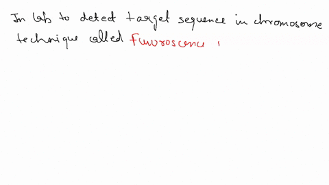 what-technique-would-you-use-to-detect-a-target-sequence-in-an-intact-chromosome-using-labeled-molecular-probe-pcr-southern-blotting-fluorescence-in-situ-hybridization-karyotyping-46189