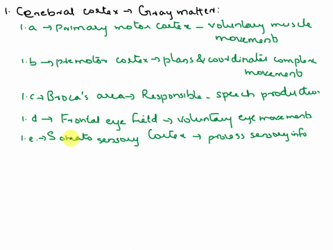 please-describe-functions-of-each-area-of-the-2-brain-regions-cerebral-hemispheres-q1-cerebral-cortex-grey-matter-motor-areas-name-and-function-1a-1b-1c-1d-1e-sensory-areas-name-and-function-29682
