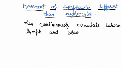 why-is-the-movement-of-lymphocytes-different-than-erythrocytes-hint-what-do-you-think-lymphocytes-have-in-their-plasma-membrane-that-may-interact-with-molecules-on-endothelial-cells-41018