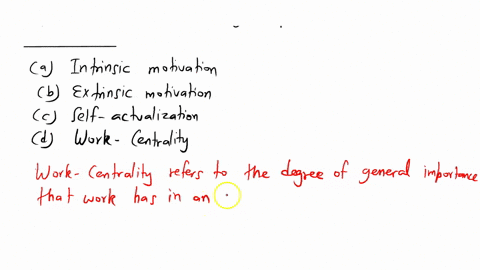 the-degree-of-general-importance-that-working-has-in-the-life-of-an-individual-at-any-given-point-in-time-is-called-________-a-intrinsic-motivation-b-extrinsic-motivation-c-self-actualizatio-04698
