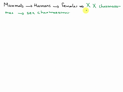 what-are-the-sex-chromosomes-of-a-female-mammaleither-of-a-pair-of-chromosomes-that-determine-whether-an-individual-is-male-or-female-39816