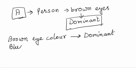 brown-eye-color-is-a-dominant-trait-and-blue-eye-color-is-a-recessive-trait-what-typically-happens-when-someone-inherits-one-allele-for-brown-eyes-and-one-for-blue-eyes-a-the-person-has-brow-23607