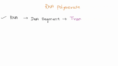 describe-the-interactions-between-rna-polymerase-and-promoter-sites-that-lead-to-the-initiation-of-transcription-predict-what-would-happen-if-the-promoter-sites-were-damaged-03105