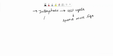 if-you-were-to-look-at-a-sample-of-healthy-tissues-under-a-microscope-which-stage-of-the-cell-cycle-would-most-cells-be-in-why-25717