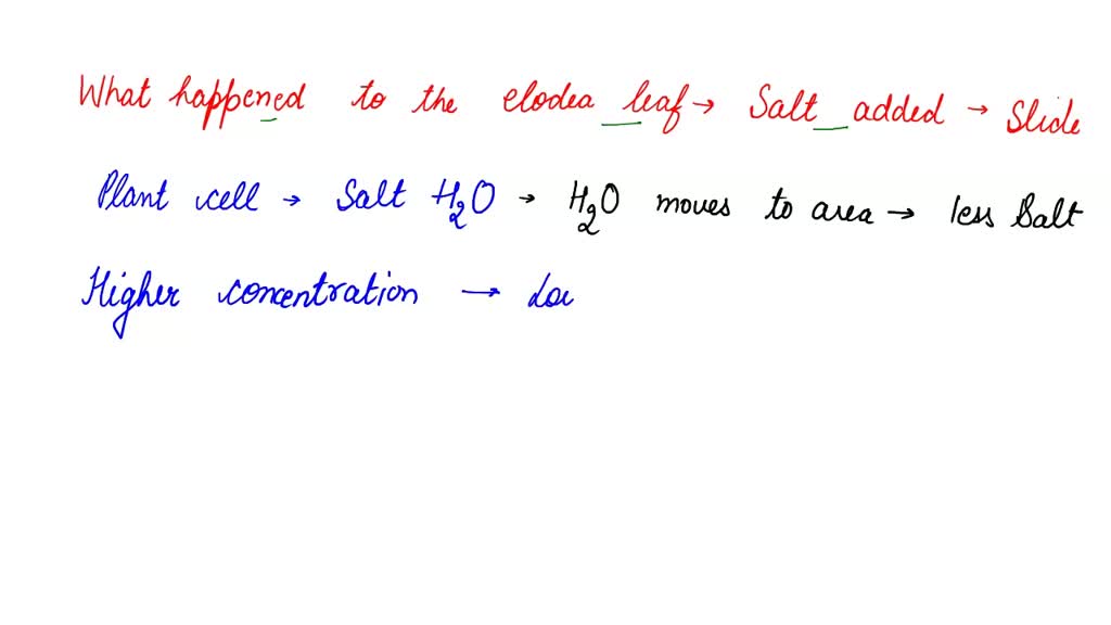 SOLVEDLab 7 Osmosis Questions 1 Research the structures that protect