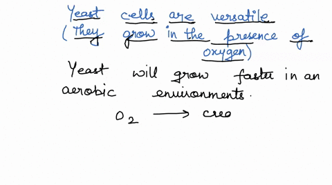 yeast-cells-are-versatile-they-are-able-to-grow-in-the-presence-of-o2-aerobically-and-also-without-oxygen-anaerobically-would-you-expect-yeast-cells-to-take-on-the-energetically-taxing-proce-36568