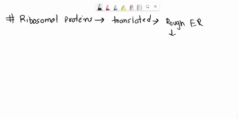 question-1-which-of-the-following-is-translated-in-the-rough-er-a-growth-factor-receptor-ras-rb-ribosomal-proteins-05-points-question-2-which-of-the-following-is-required-for-post-translatio-96574
