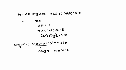 which-of-the-following-is-not-an-organic-macromolecule-o-ice-o-lipid-o-nucleic-acid-o-carbohydrate-help-plz-23053